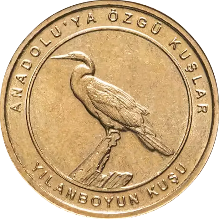 Yılanboyun Kuşu